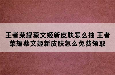 王者荣耀蔡文姬新皮肤怎么抽 王者荣耀蔡文姬新皮肤怎么免费领取